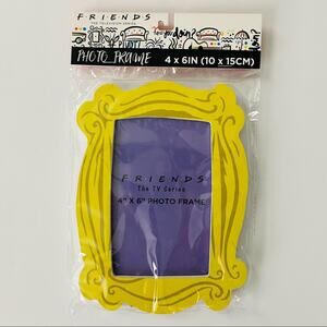 Friends | Monica’s Peephole Door Frame 4x6 NWT